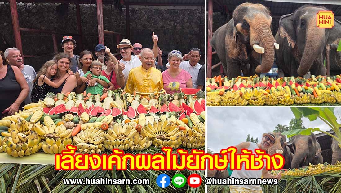 มูลนิธิช้างหัสดินทร์ เลี้ยงเค้กผลไม้ยักษ์ให้ช้าง เนื่องในวันช้างไทย
