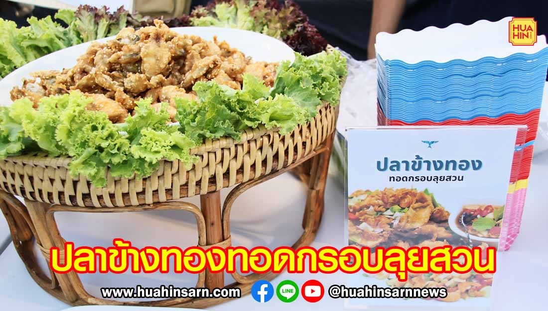 ประจวบฯ ชูปลาข้างทองทอดกรอบลุยสวน ซิกเนเจอร์อาหารท้องถิ่นในงานมหัศจรรย์เมืองสามอ่าว