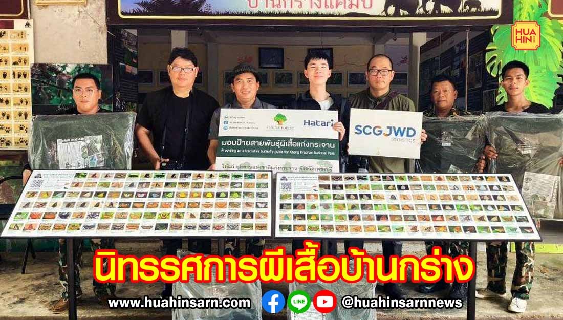 อุทยานฯ แก่งกระจาน เปิดนิทรรศการ “ผีเสื้อบ้านกร่าง” รวบรวมภาพหาดูยากกว่า 10 ปี หนุนเรียนรู้ธรรมชาติ