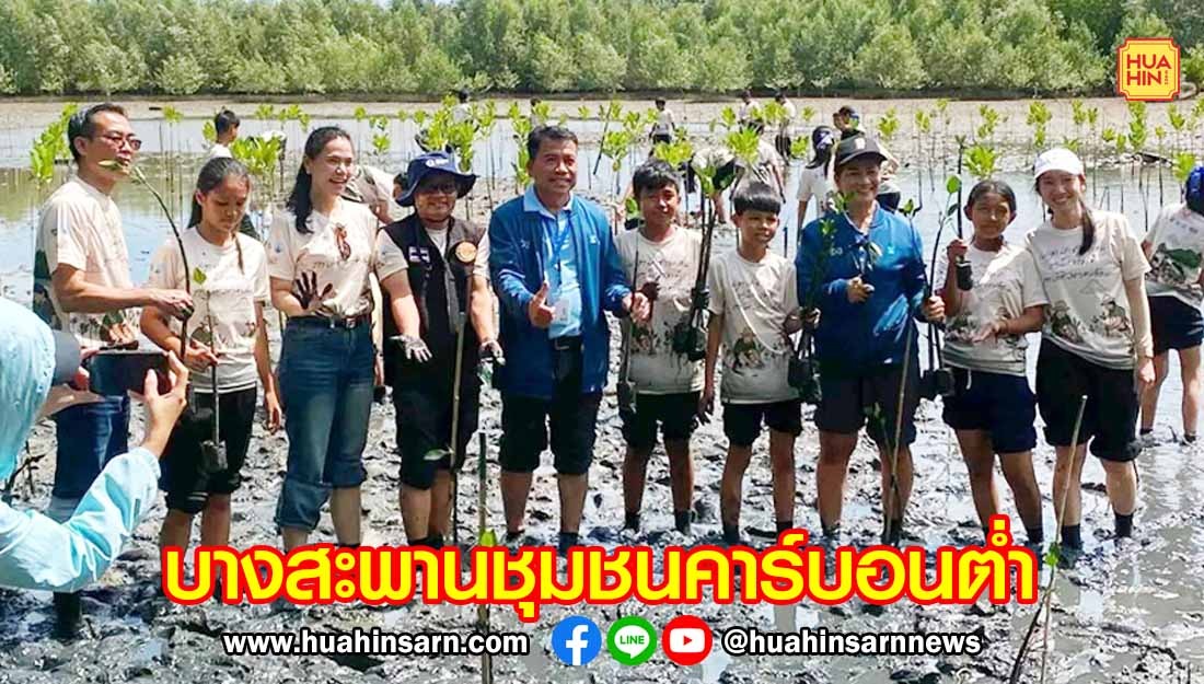 เครือข่ายชาวประมงบางสะพาน ผนึกกลุ่มเหล็กสหวิริยา ปลูกป่าชายเลน สร้างชุมชนคาร์บอนต่ำ ปกป้องทะเล