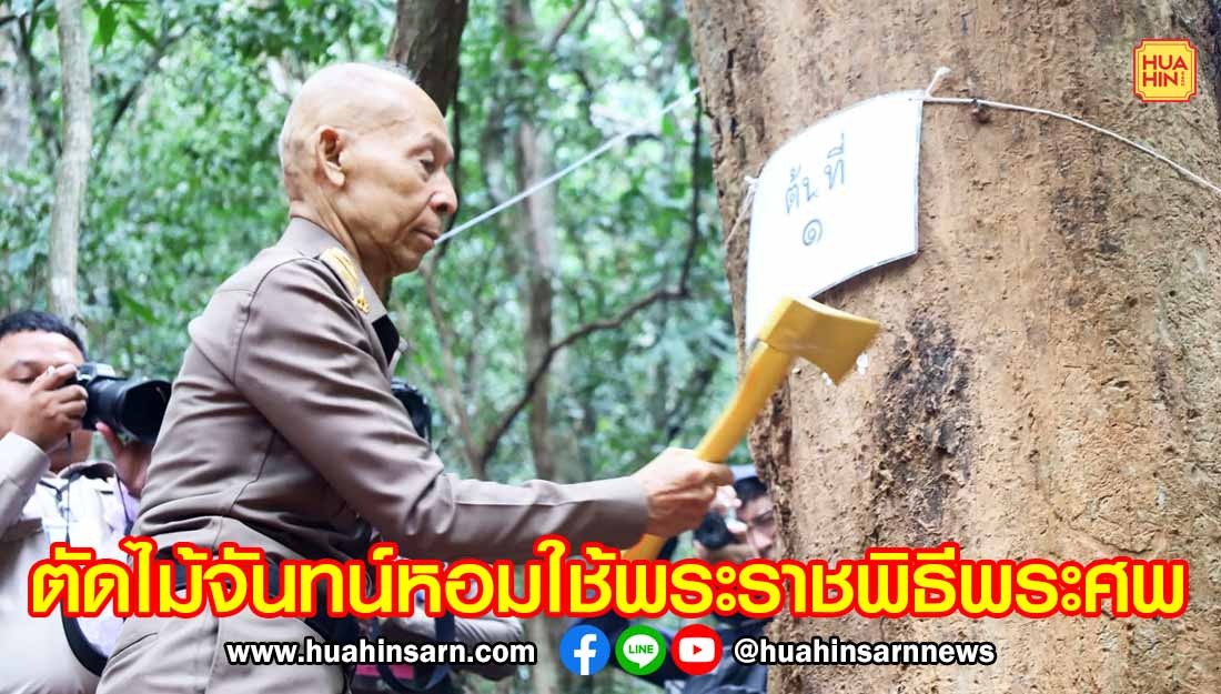 พิธีบวงสรวงตัดไม้จันทน์หอม เพื่อใช้ในงานพระราชพิธีพระศพสมเด็จพระเจ้าลูกเธอ เจ้าฟ้าพัชรกิติยาภาฯ