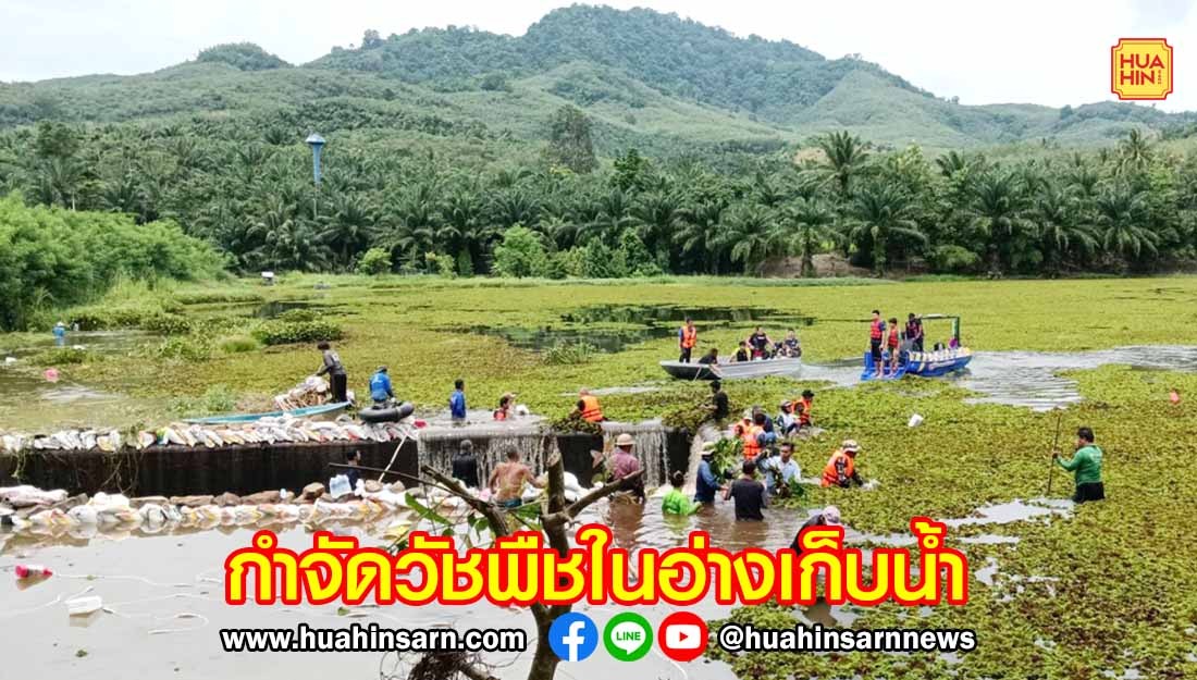 ชาวบ้านร่วมกับเจ้าหน้าที่ทุกภาคส่วน ลุยกำจัดวัชพืชน้ำในอ่างเก็บน้ำโป่งสามสิบ