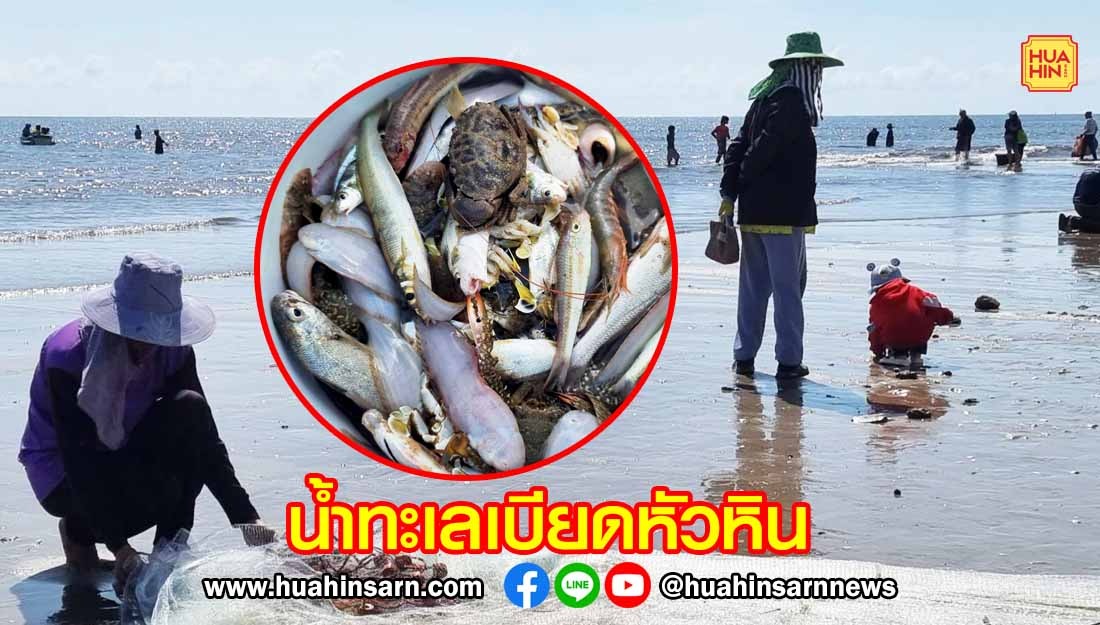 หัวหินน้ำทะเลเบียด ชาวบ้านแห่จับปลากันอย่างคึกคัก